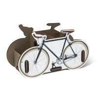 Pen Box Single Speed Bike