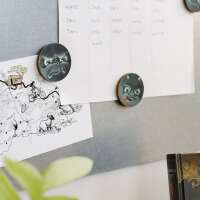 Magnete - Das kleine Böse Buch