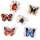 Magnet-Set Nature Fun