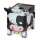 Money box four legged - cow