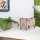 Tissue-Box Vierbeiner Schwein