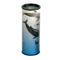 Kaleidoscope Sealife