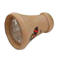 Dragoneye Beech Wood Nature Fun
