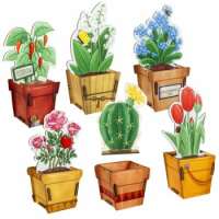 Blumen & Pflanzen | Geschenkverpackung