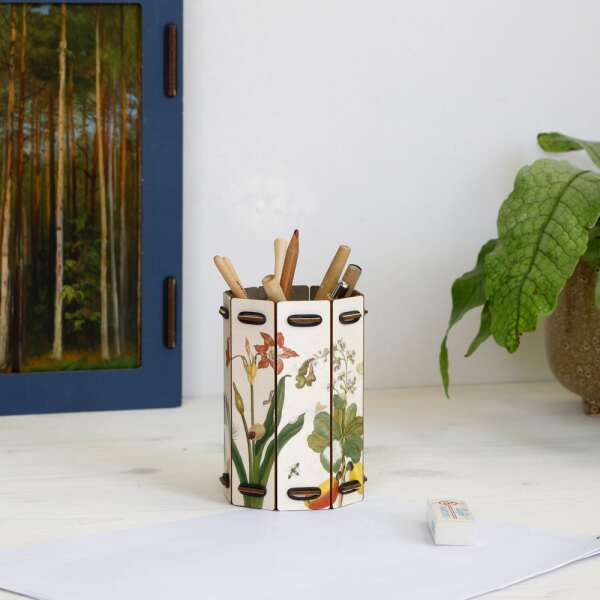 Pen Box octagon plants