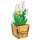 Gift-Box - Lily of the valley