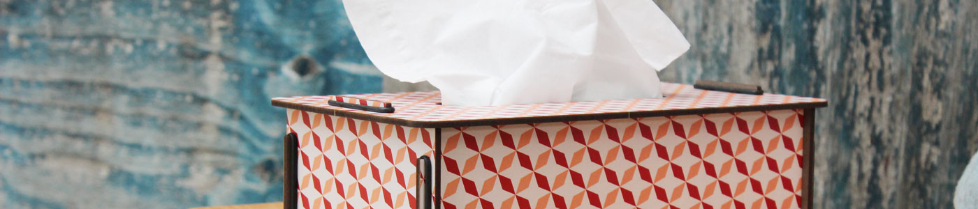 Taschentuchbox von WERKHAUS