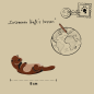 Preview: Produktinformationen Magnet - Otter Lotti