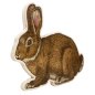Preview: Osterhase mittelgroß aus Dreischichtholz