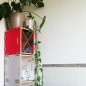 Preview: X Regal aus Werkboxen mit Einsatz