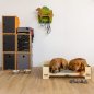 Preview: Hundebett für zwei Hunde