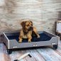 Mobile Preview: Das unzerstörbare Hundebett aus Holz mit Rollen | WERKHAUS