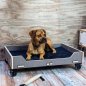 Preview: Das unzerstörbare Hundebett aus Holz mit Rollen | WERKHAUS Preview: Das unzerstörbare Hundebett aus Holz mit Rollen | WERKHAUS