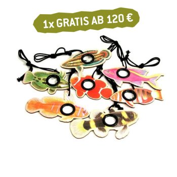 gratis Nature Fun Guckaugen - Fische