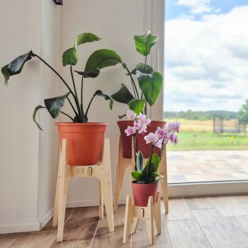 großer Holz Pflanzenständer