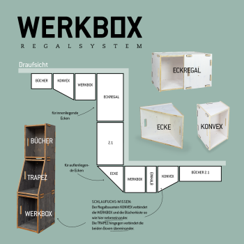 10er-Set-WERKBOX Fichte Natur