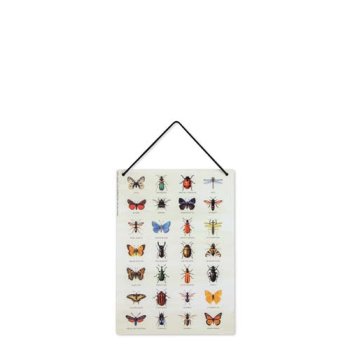 Kleines Holzschild DIN-A4 Insektenkunde | WERKHAUS