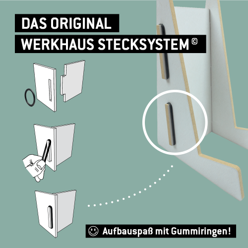 Stecksystem