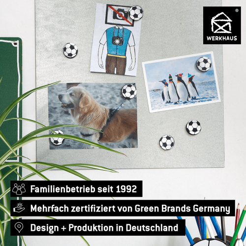 Fußball Magnet-Set