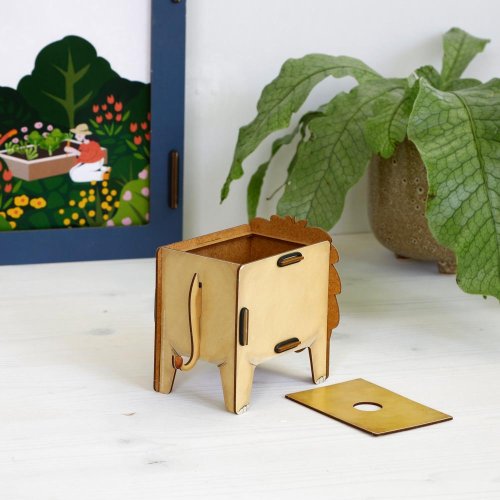 Löwe-Box mit offenem Deckel