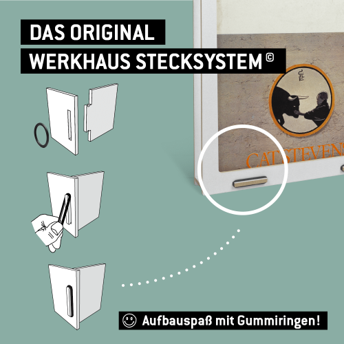 Stecksystem