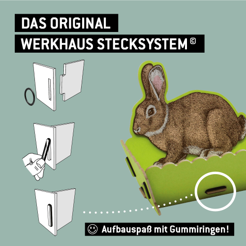 Original Werkhaussystem