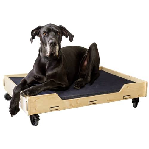 Massives Hundebett Tonka XXL aus Holz | WERKHAUS