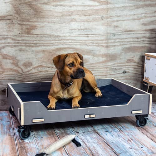 Das unzerstörbare Hundebett aus Holz mit Rollen | WERKHAUS Das unzerstörbare Hundebett aus Holz mit Rollen | WERKHAUS